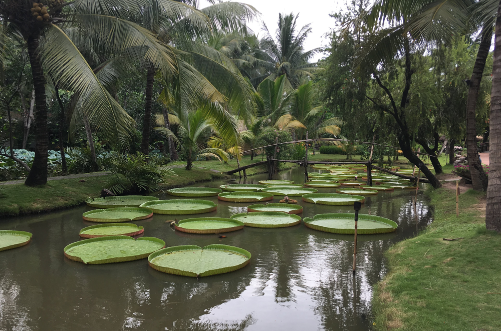 Binh-Quoi-Village